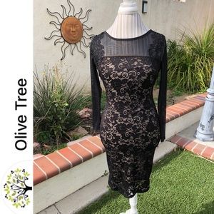 Olive Tree Little Black Lace Sheer Sleeve Dress